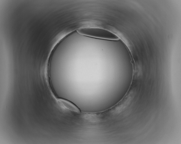 X0000112390909200908271337