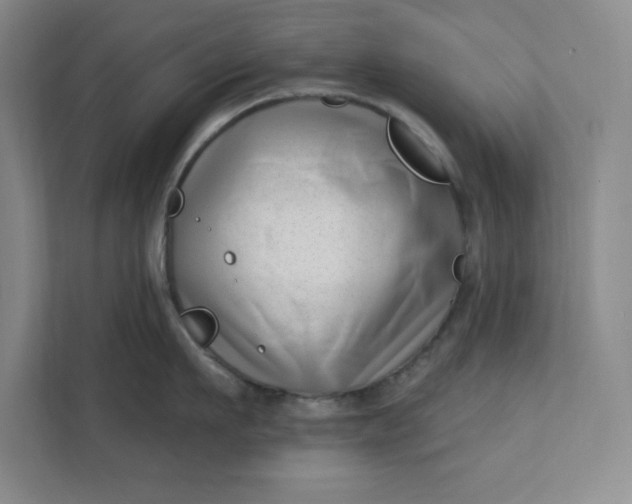 X0000112390911200908271337