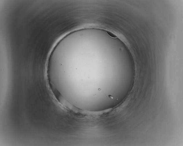 X0000112390912200908271337