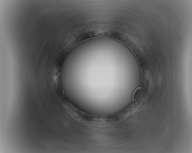 X0000112390914200908271336