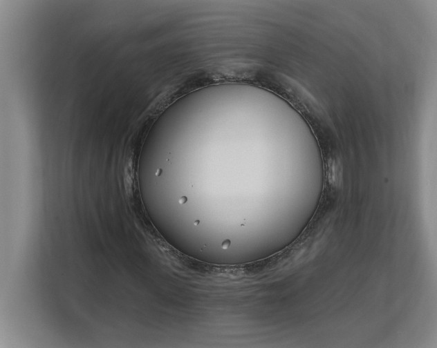 X0000112390915200908271336