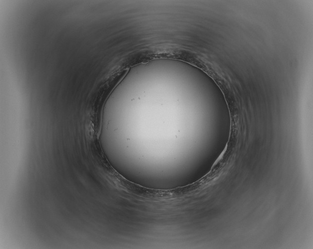 X0000112390916200908271336