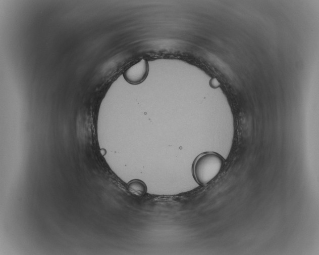 X0000112390918200908271337