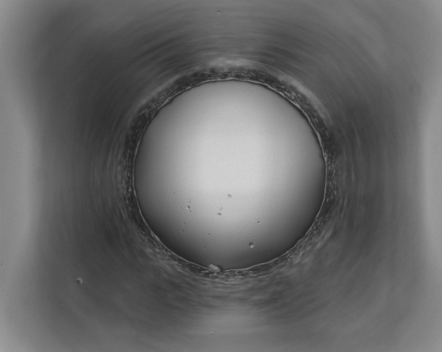 X0000112390919200908271337