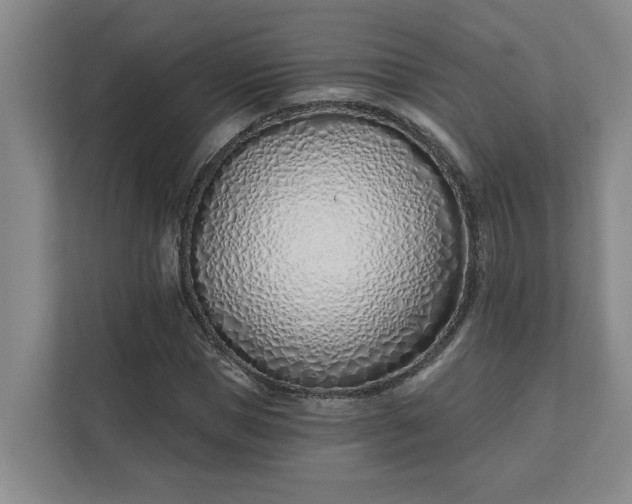 X0000112390921200908271337