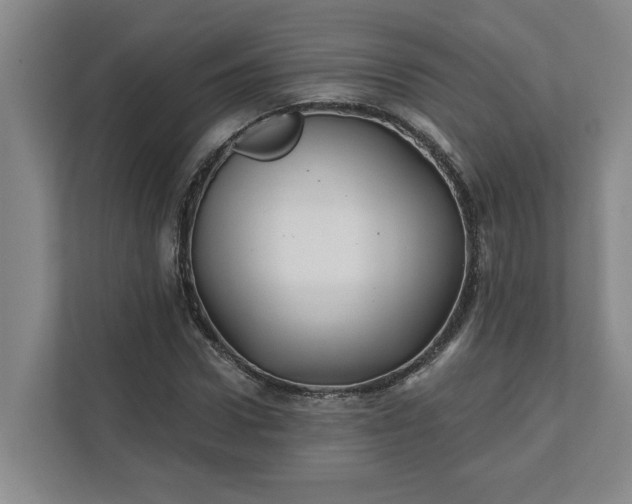 X0000112390922200908271337