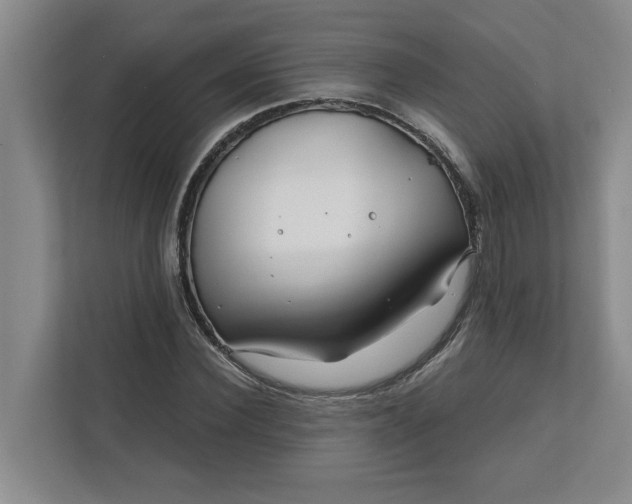 X0000112390924200908271337