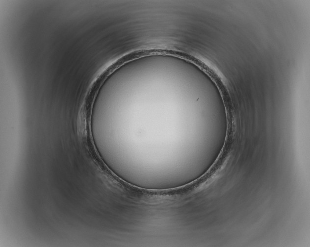 X0000112390925200908271337