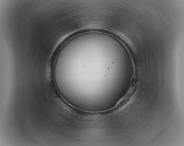 X0000112390926200908271337