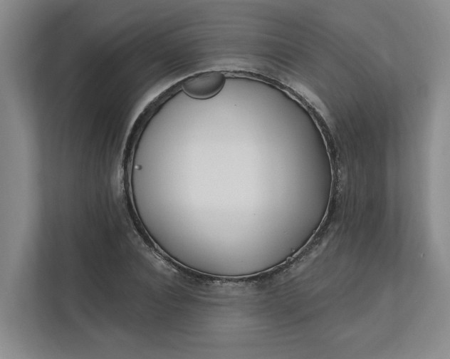 X0000112390928200908271337