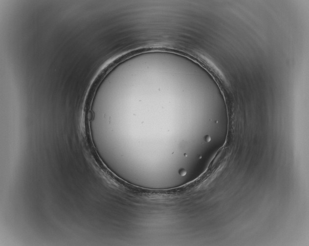 X0000112390932200908271337