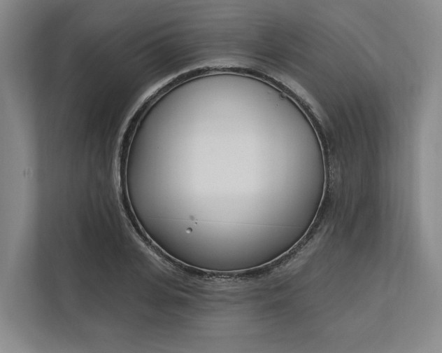 X0000112390935200908271337