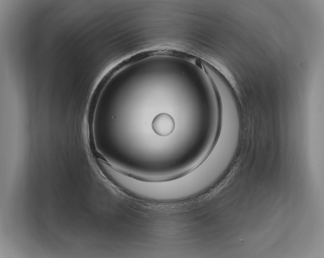 X0000112390936200908271337