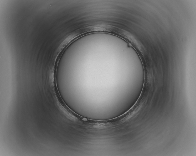 X0000112390938200908271337