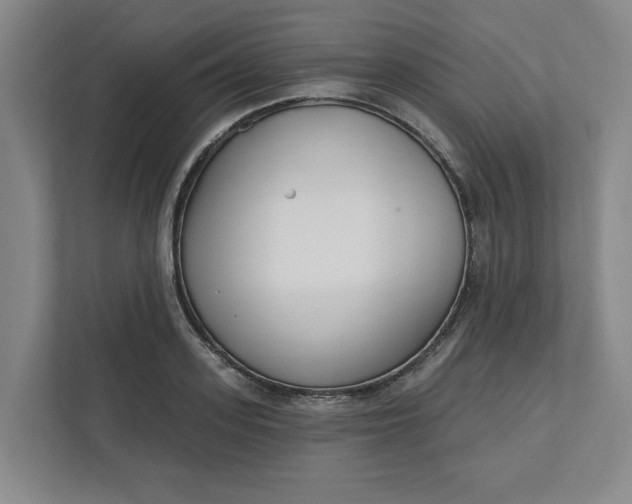 X0000112390939200908271337