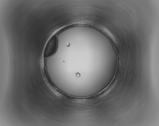 X0000112390940200908271337