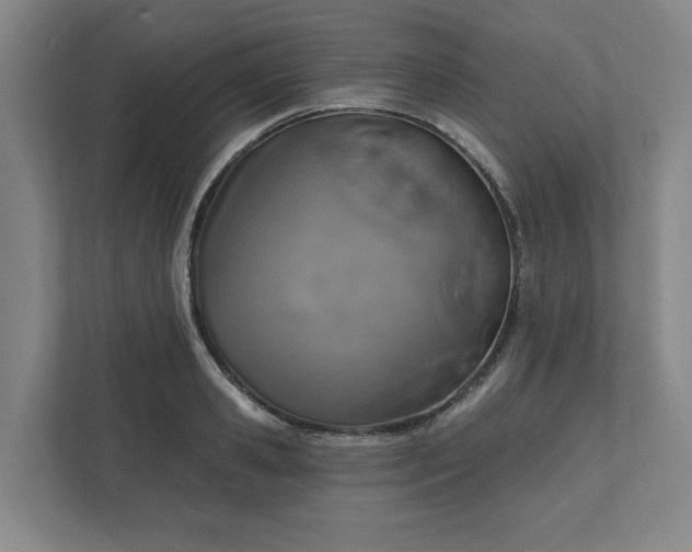 X0000112390941200908271337