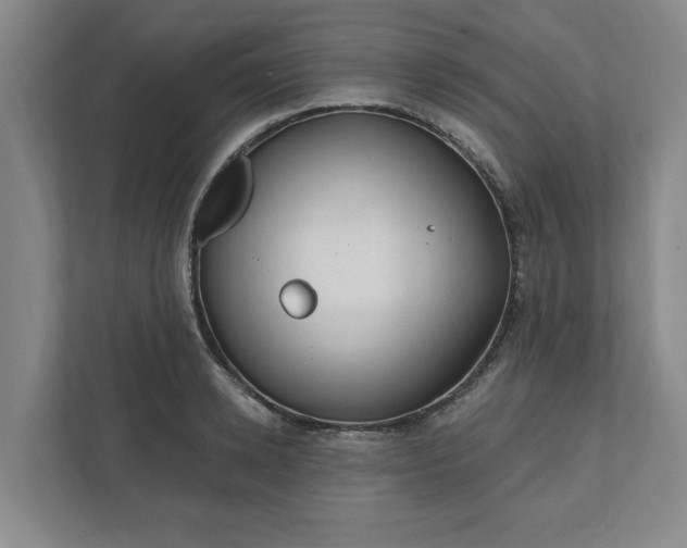 X0000112390942200908271337