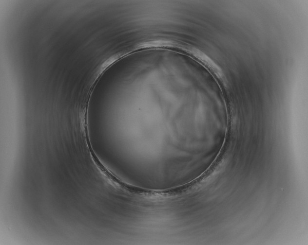 X0000112390945200908271337