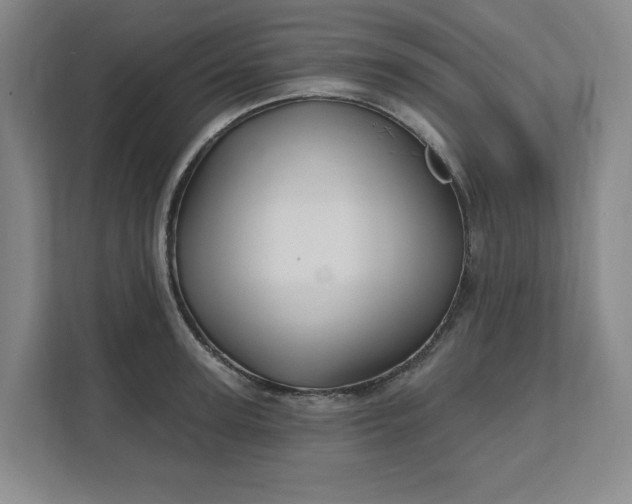 X0000112390947200908271337