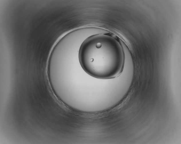 X0000112390948200908271337