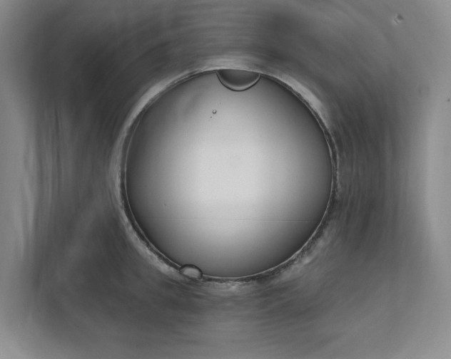 X0000112390949200908271337