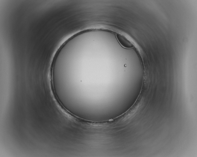 X0000112390951200908271337