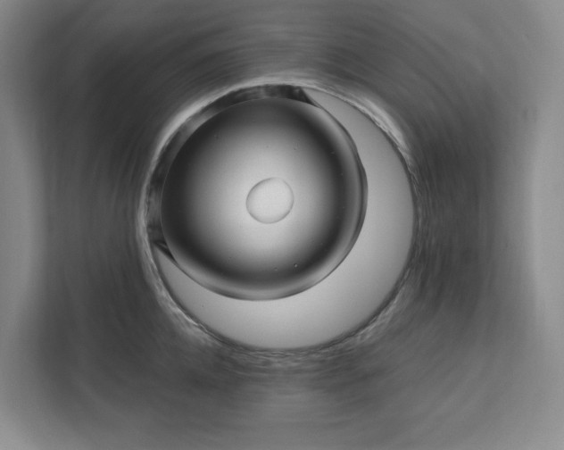 X0000112390952200908271337