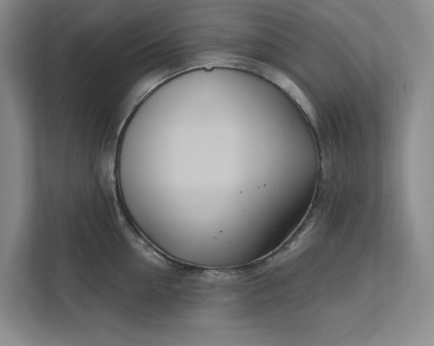 X0000112390954200908271337