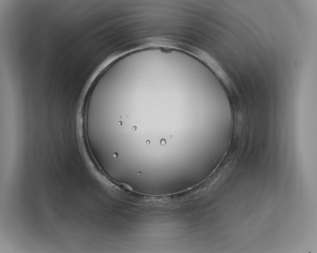 X0000112390955200908271337