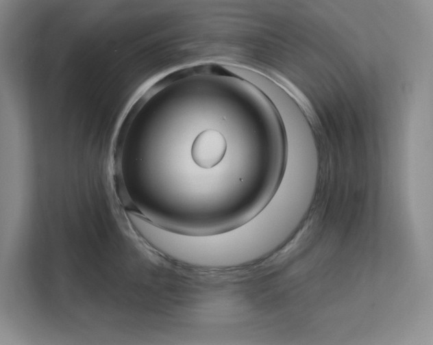 X0000112390956200908271337