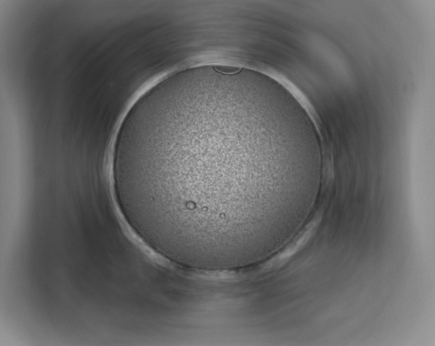 X0000112390957200908271337