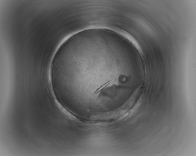 X0000112390958200908271337