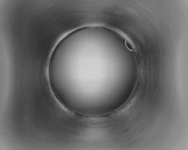 X0000112390959200908271337