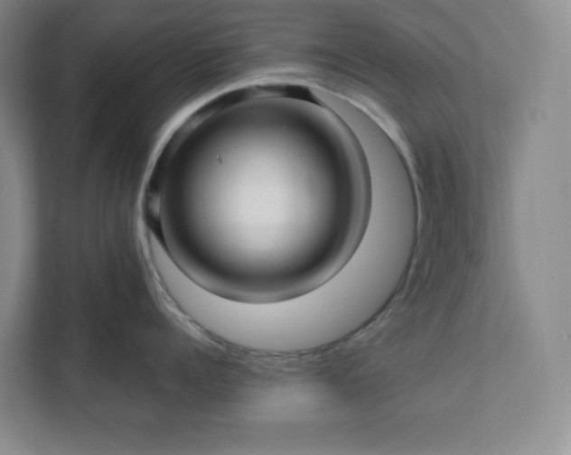 X0000112390960200908271337