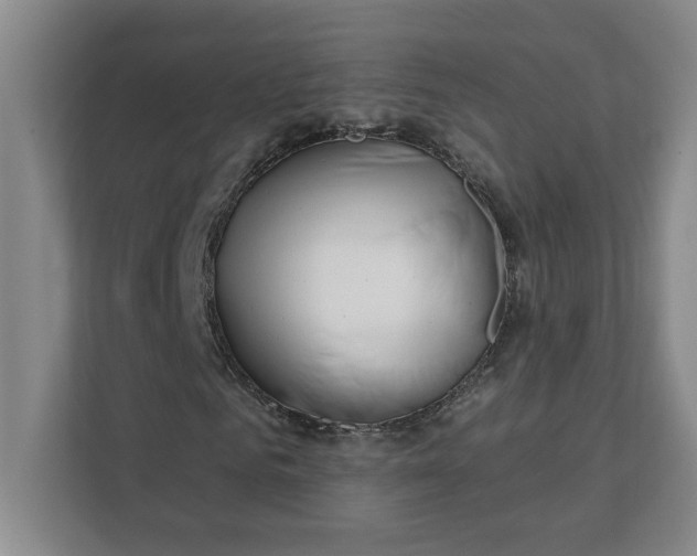 X0000112390961200908271336