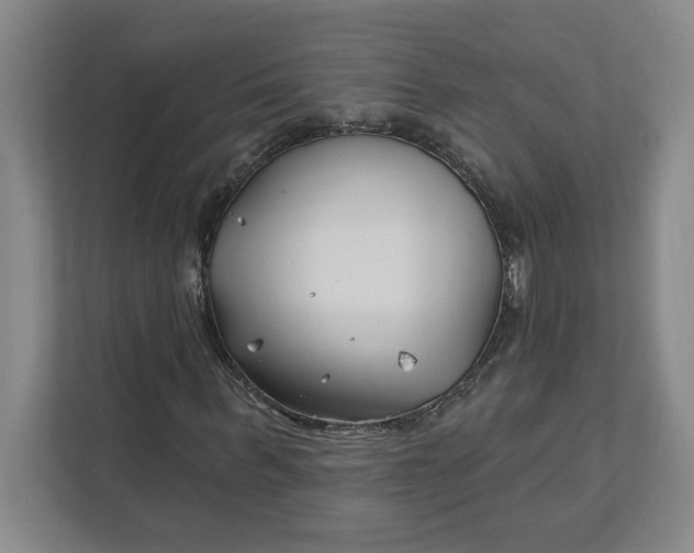 X0000112390963200908271336