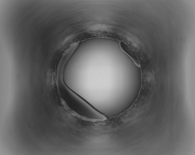 X0000112390965200908271336