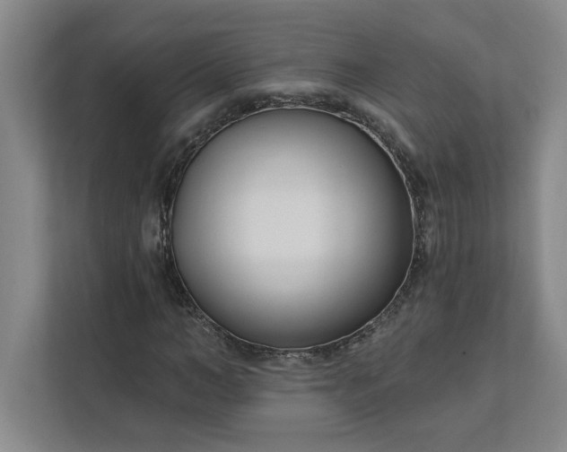 X0000112390966200908271336