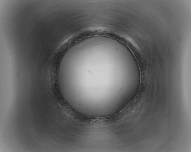 X0000112390967200908271336