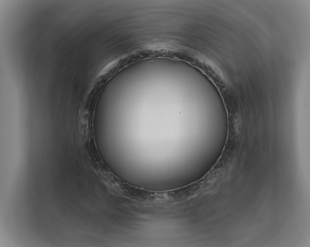 X0000112390968200908271336