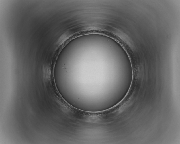 X0000112390969200908271336