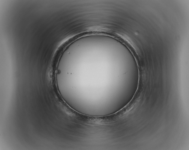 X0000112390971200908271336