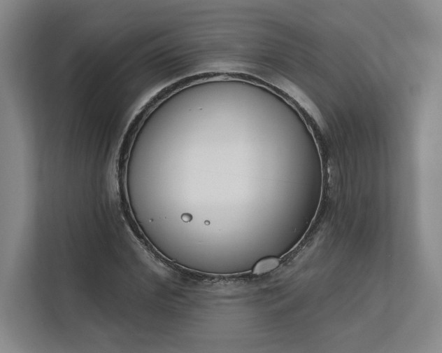 X0000112390972200908271336