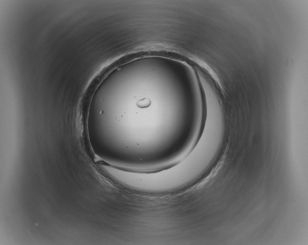 X0000112390973200908271336