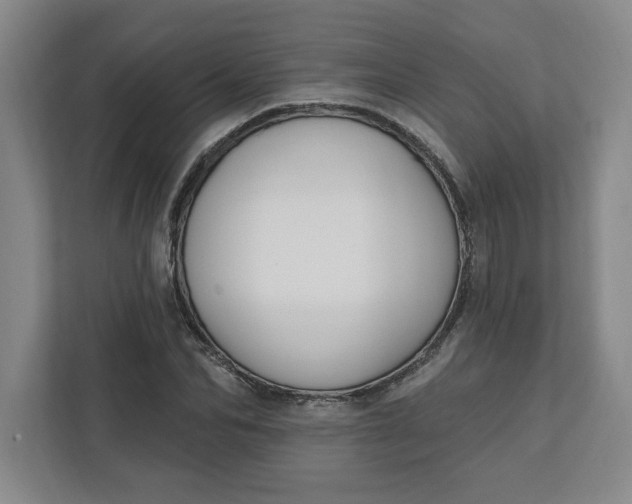 X0000112390974200908271336