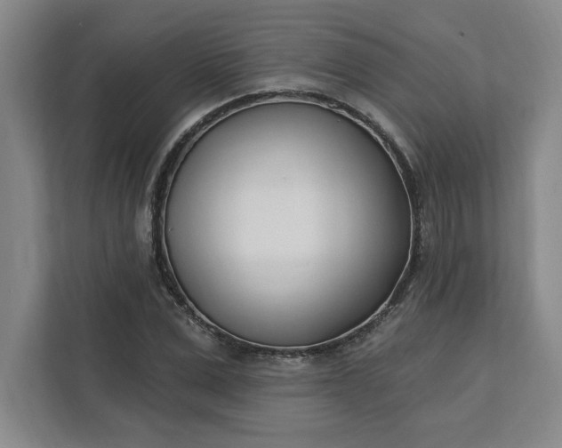 X0000112390975200908271336