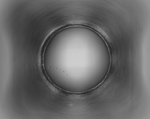 X0000112390976200908271336