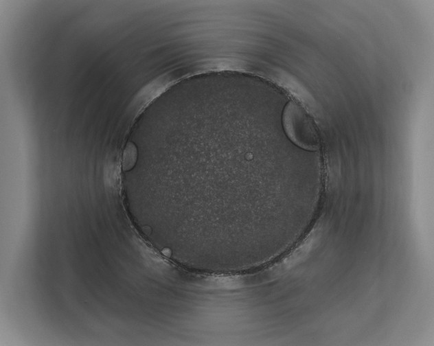 X0000112390977200908271336