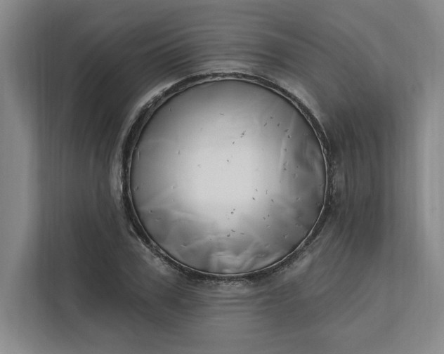 X0000112390979200908271336